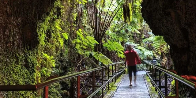 Hilo Volcano Tour from Oahu - Image 5
