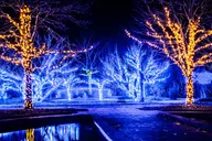 Nashville Christmas Lights Tour thumbnail 3