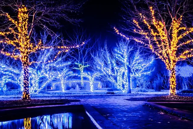 Nashville Christmas Lights Tour - Image 3
