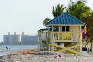 Miami Walking Tour for Couples thumbnail 2