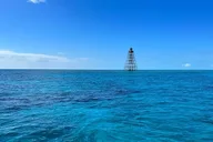 Key West Reef Snorkeling Adventure thumbnail 3