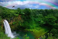 Kauai Private Tour thumbnail 3