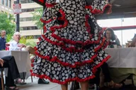 Washington D.C. Flamenco Show with Dinner thumbnail 2