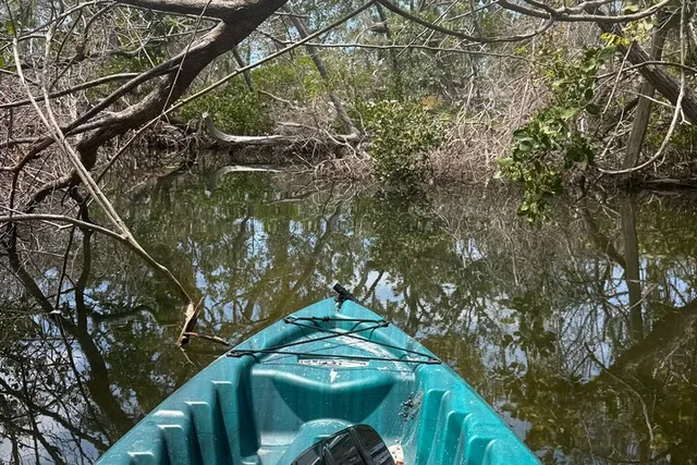 Tampa Kayak Tour at EG Simmons Park - Image 4