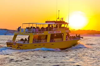 Destin Dolphin & Sunset Cruise 90 min