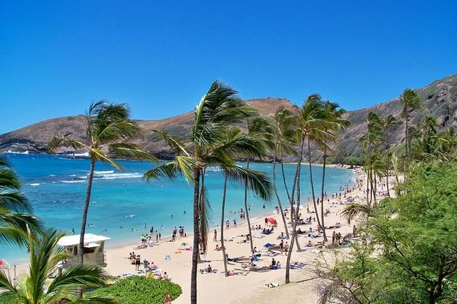 Oahu Island Private Tour with Chauffeur - Image 6
