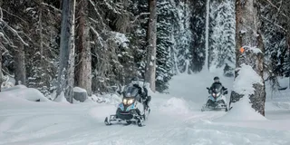 Jackson Yellowstone Snowmobile Tour