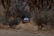 Los Angeles Naturalist's Batcaves Tour 1 hr thumbnail 2