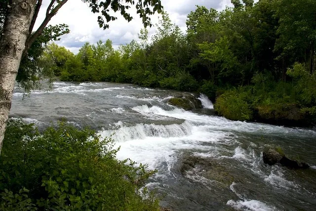 Niagara Falls Tour with Maid of the Mist - Image 5