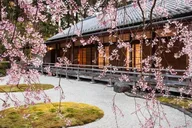 Portland City Tour: History, Gardens, and Iconic Sights thumbnail 2