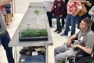 Denver Cannabis Tour with Grow Facility Access thumbnail 5