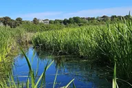 Nantucket Historical Landmarks Tour thumbnail 4