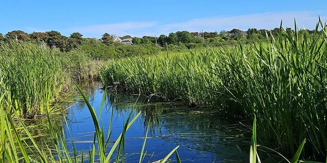 Nantucket Historical Landmarks Tour - Image 4