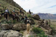 Las Vegas Horseback Ride and BBQ Dinner at Sunset thumbnail 5