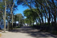 Chicago Lakefront Bike Tour thumbnail 5