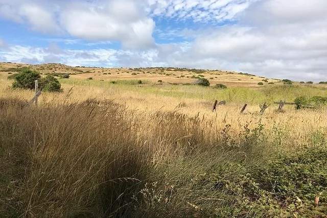 Point Reyes Self-Guided Audio Tour - Image 2