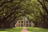 New Orleans Oak Alley Plantation Tour thumbnail 2