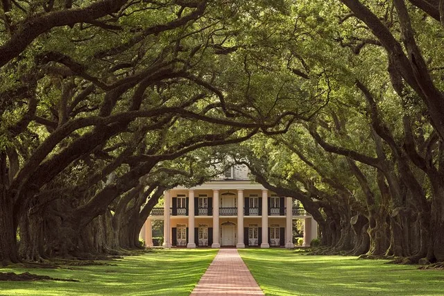 New Orleans Oak Alley Plantation Tour - Image 2