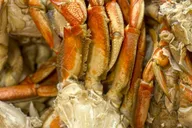 Ketchikan Lumberjack Show and Crab Feast thumbnail 3
