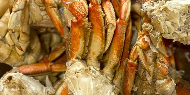 Ketchikan Lumberjack Show and Crab Feast - Image 3