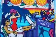 Miami Wynwood Food Tour thumbnail 2