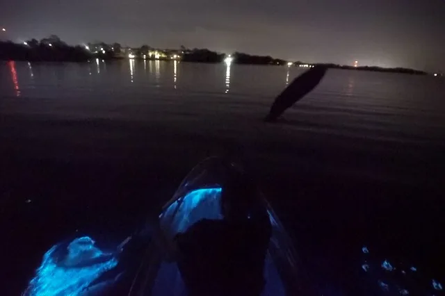 Merritt Island Clear Kayak Bioluminescence Tour 2 hr - Image 3