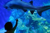 Denver Aquarium All-Day Pass thumbnail 3