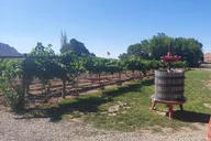 Moab E-Bike Tour with Winery Visit thumbnail 1