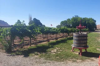 Moab E-Bike Tour with Winery Visit