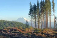 Seattle Mountain Biking Adventure thumbnail 3