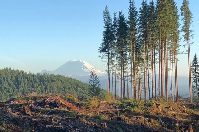 Seattle Mountain Biking Adventure - Image 3