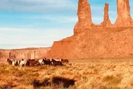 Monument Valley Cultural and Sunrise Tour 3 hr thumbnail 5
