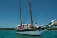 Key West National Wildlife Refuge Full Day Tour thumbnail 3