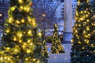 Atlanta Christmas Market and Glow Show Private Tour thumbnail 2
