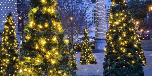 Atlanta Christmas Market and Glow Show Private Tour - Image 2