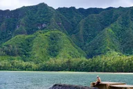 Oahu North Shore Tour with Waimea Waterfall thumbnail 3