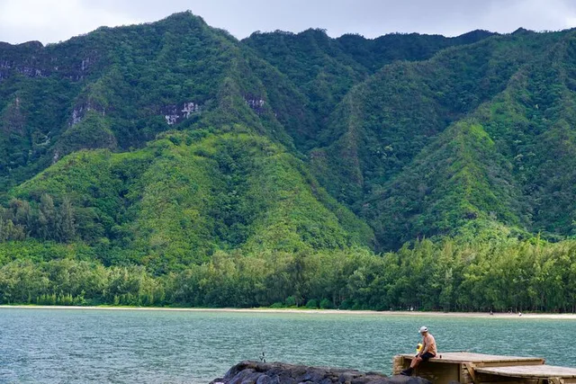 Oahu North Shore Tour with Waimea Waterfall - Image 3