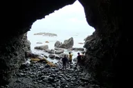 Dana Point Sea Cave Tide Pool Walk thumbnail 1