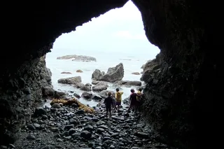 Dana Point Sea Cave Tide Pool Walk
