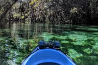 Crystal River Tandem Kayak Rental with Manatees 3 hr thumbnail 3