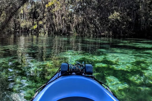 Crystal River Tandem Kayak Rental with Manatees 3 hr - Image 3