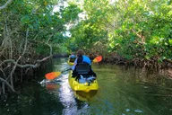Key Largo Mangrove Tunnel Kayak Adventure thumbnail 4