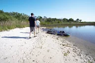 Flagler County Glass Bottom Eco Tour thumbnail 4