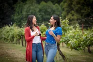 Seattle Snoqualmie Falls & Wine Day Tour thumbnail 3