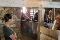 Lancaster Amish Immersion Experience 3 hr thumbnail 4