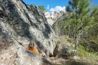 Rapid City Private Black Hills Tour thumbnail 3