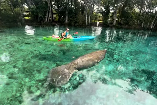 Crystal River Kayak Rental Three Sisters Springs 4 hr - Image 2