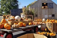 Providence Autumn Countryside Tour 8 hr thumbnail 1