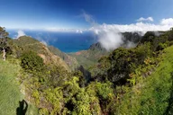 Kauai Private Tour: Waimea Canyon and Southside thumbnail 1