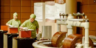 Orlando Chocolate Kingdom Factory Adventure Tour